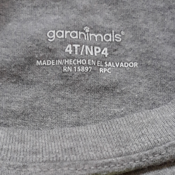 Boy's Blue Dinosaur Swim Trunks + T Rex T-Shirt Size 4T / Toddler Beach Outfit - Picture 3 of 10